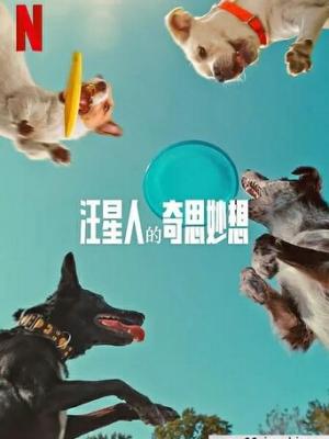 轮播图